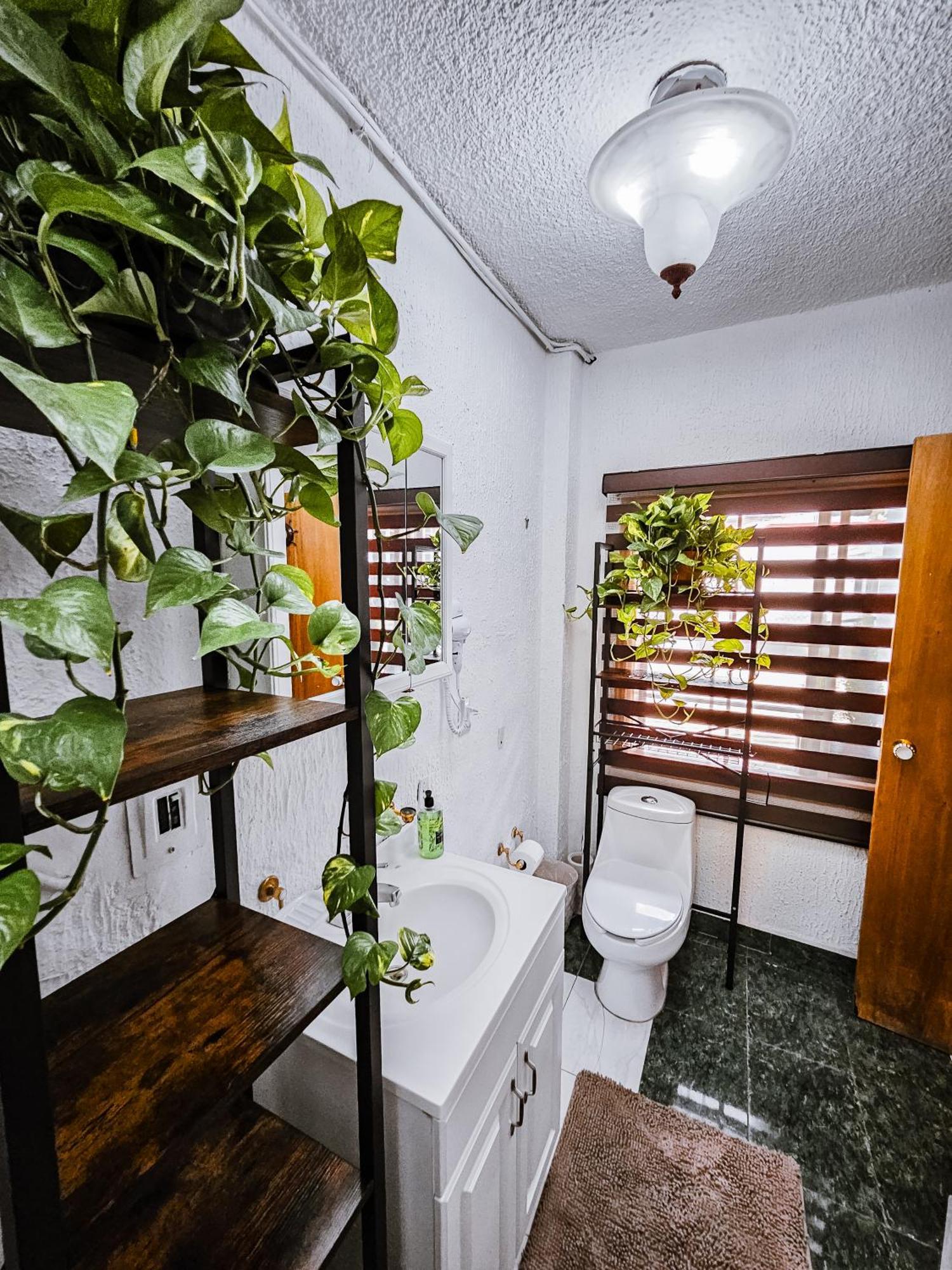 Habitacion Con Bano Privado B, Centro De Coyoacan مدينة مكسيكو المظهر الخارجي الصورة
